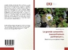 Kaouther Mechergui - La grande camomille : Leucanthemum parthenium L.