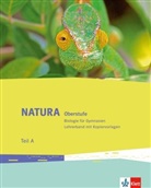 Natura Oberstufe, Ausgabe ab 2016: Natura Biologie Oberstufe, m. 1 CD-ROM
