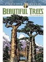 Tim Foley - Creative Haven Beautiful Trees Coloring Book