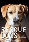 Susannah Maynard - Rescue Dogs