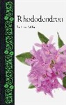 Richard Milne - Rhododendron