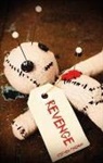 Stephen Fineman - Revenge