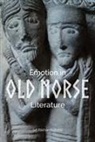 Sif Rikhardsdottir - Emotion in Old Norse Literature