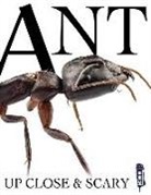 Kevin Ingam, David Miller - ANT