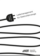 Sarah Katharina Detzler - Lademanagement für Elektrofahrzeuge