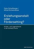 Peter Schallberger, Alfred Schwendener - Erziehungsanstalt oder FörderSetting?