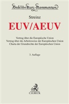 Sophie Bings u a, Tobias Kruis, Walthe Michl, Walther Michl, Rudolf Streinz - EUV / AEUV
