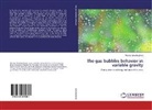 Michael Shoikhedbrod - The gas bubbles behavior in variable gravity