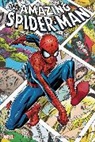 Stan Lee, Lee Stan, Roy Thomas - The Amazing Spider-Man Omnibus Vol. 3