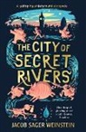 Jacob Sager Weinstein, Jacob Sager Weinstein - City of Secret Rivers