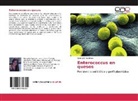 Georgelin Espinoza - Enterococcus en quesos