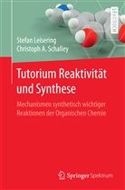 Stefa Leisering, Stefan Leisering, Christoph A Schalley, Christoph A. Schalley - Tutorium Reaktivität und Synthese