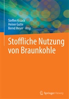 Heine Gutte, Heiner Gutte, Steffen Krzack, Bernd Meyer - Stoffliche Nutzung von Braunkohle