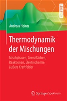 Andreas Heintz, Andreas (Prof. Dr. em.) Heintz - Thermodynamik der Mischungen