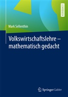 Mark Sellenthin - Volkswirtschaftslehre - mathematisch gedacht