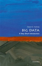 Dawn E. Holmes, Holmes Dawn E. - Big Data