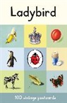 Ladybird