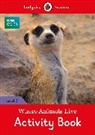 Ladybird, Pippa Mayfield, Catri Morris, Catrin Morris - BBC Earth: Where Animals Live Activity Book
