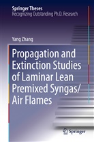 Yang Zhang - Propagation and Extinction Studies of Laminar Lean Premixed Syngas/Air Flames