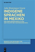 Julia Montemayor Gracia - Indigene Sprachen in Mexiko