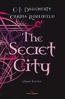 C. J. Daugherty, Carina Rozenfeld - the secret city