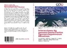 Ca, Manuel S. Carmona, Pablo Higueras, Pablo L Higueras, Pablo L. Higueras, Miguel Ange Lopez-Berdonces... - Interacciones Hg gaseoso/Suelo/Plantas líquenes/leguminosas Rhizobium