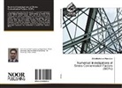 Abdelrahman Hamdan - Numerical Investigations of Stress Concentration Factors (SCFs)