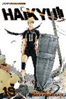 Monte Beauchamp, Haruichi Furudate, Haruichi Furudate, Richard Sala - Haikyu vol 19