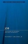 Richard P Belcher, Richard P. Belcher, RICHARD P. BLECHER - Job: The Mystery of Suffering and God''s Sovereignty