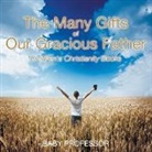 Baby, Baby Professor - The Many Gifts of Our Gracious Father | Children's Christianity Books