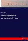 Emile Zola, Émile Zola - Der Zusammenbruch