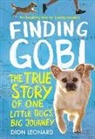 Dion Leonard, Dion/ Rosenberg Leonard, Aaron Rosenberg, Aaron Rosenberg - Finding Gobi
