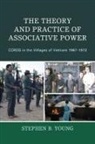 Stephen B Young, Stephen B. Young, Young Stephen B. - Theory and Practice of Associative Power