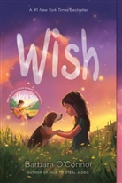 Barbara O'Connor - Wish