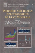 Will Gates, Will (EDT)/ Kloprogge Gates, Faïza Bergaya, Will Gates, J. Theo Kloprogge, Jana Madejova - Infrared and Raman Spectroscopies of Clay Minerals