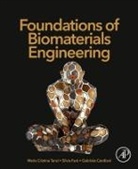 Gabriele Candiani, Gabriele (Department of Chemistry Candiani, Silvia Fare, Silvia (Associate Professor Fare, Silvia Farè, Maria (Department of Chemistry Tanzi... - Foundations of Biomaterials Engineering