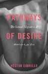 Haector Carrillo, Hector Carrillo, HTctor Carrillo - Pathways of Desire - The Sexual Migration of Mexican Gay Men