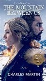 Charles Martin - The Mountain Between Us