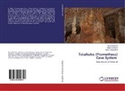 Nan Bolashvili, Nana Bolashvili, Oma Lanchava, Omar Lanchava, Kuk Tsikarishvili, Kukuri Tsikarishvili - Tskaltubo (Prometheus) Cave System