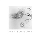 Henrieke I Strecker, Henrieke I. Strecker - Salt Blossoms