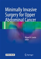 Migue A Cuesta, Miguel A Cuesta, Miguel A. Cuesta - Minimally Invasive Surgery for Upper Abdominal Cancer