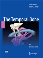 John Lane, John I Lane, John I. Lane, Robert J Witte, Robert J. Witte - Temporal Bone