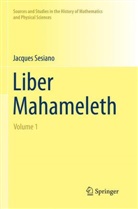 Jacques Sesiano - Liber Mahameleth, 3 Teile