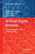 Ar Molina, Arturo Molina, Pedr Ponce-Cruz, Pedro Ponce-Cruz, Hira Ponce-Espinosa, Hiram Ponce-Espinosa - Artificial Organic Networks