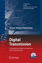 Dayan Adionel Guimaraes - Digital Transmission