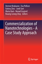 Maria Baró, Dermot Brabazon, Kwang-Leong Choy, Maria Dolors Baró, Nenad Grujovic, Ev Pellicer... - Commercialization of Nanotechnologies-A Case Study Approach