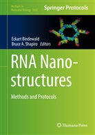 A Shapiro, A Shapiro, Eckar Bindewald, Eckart Bindewald, Bruce A. Shapiro - RNA Nanostructures