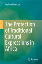 Enyinna Nwauche - The Protection of Traditional Cultural Expressions in Africa