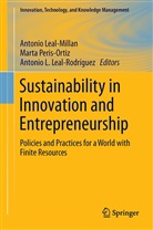Antonio L Leal-Rodríguez, Antonio Leal-Millan, Antonio L. Leal-Rodríguez, Mart Peris-Ortiz, Marta Peris-Ortiz - Sustainability in Innovation and Entrepreneurship