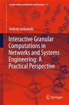 Andrzej Jankowski - Interactive Granular Computations in Networks and Systems Engineering: A Practical Perspective